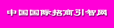 中国国际招商引智网